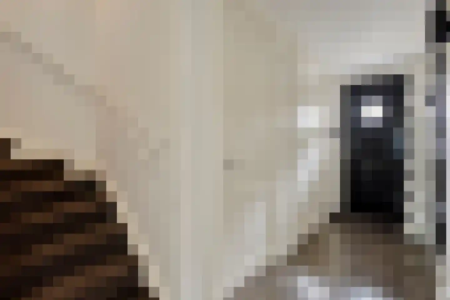 Vioolstraat 42 Eindhoven thumbnail 5