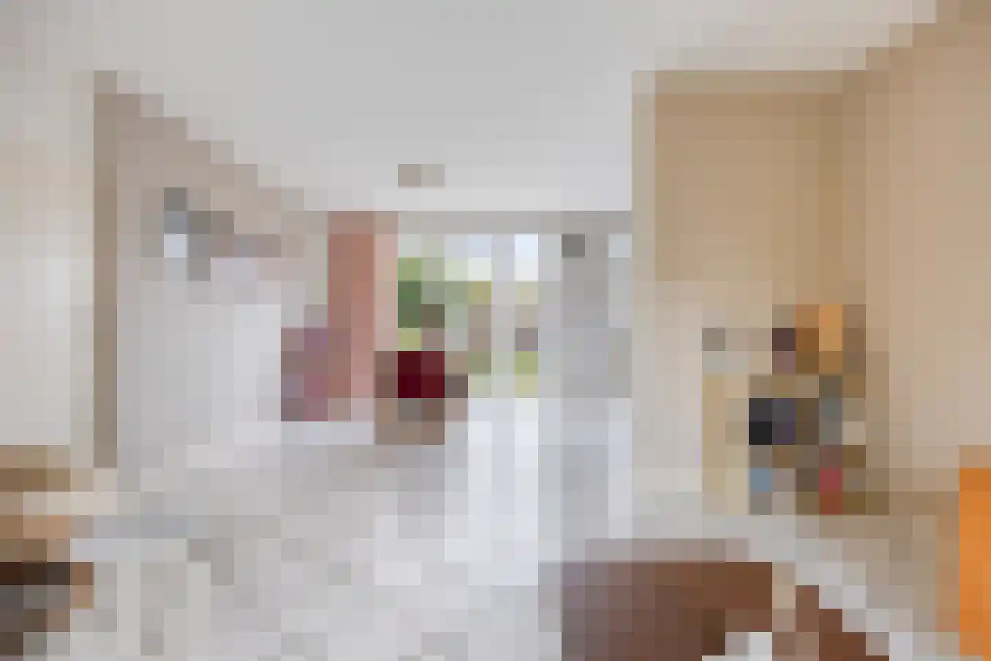 Vioolstraat 72 Etten-Leur thumbnail 4
