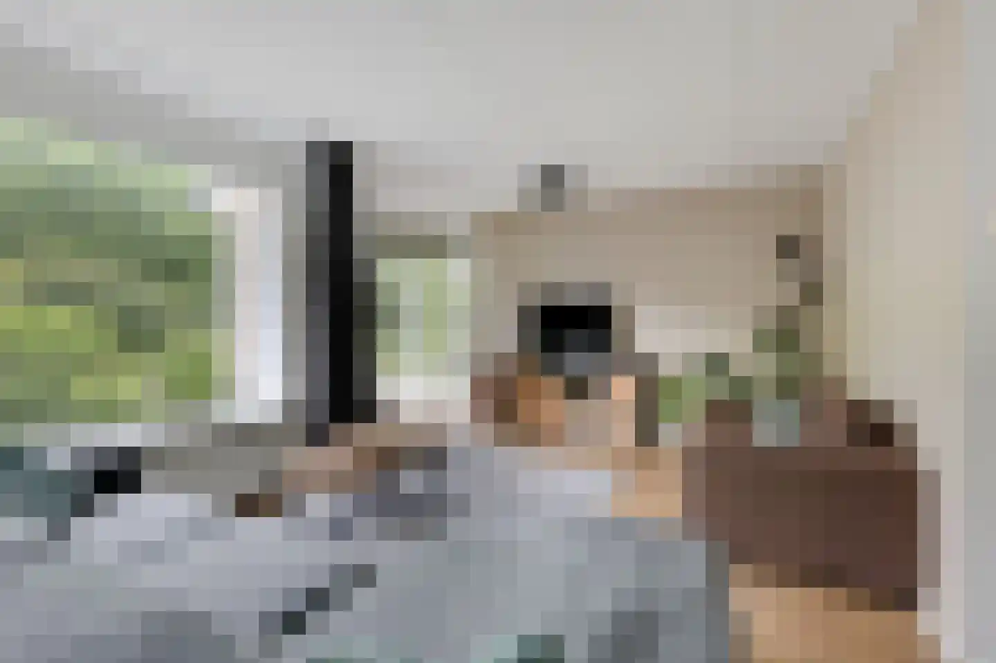 Vioolstraat 8 Duiven thumbnail 12