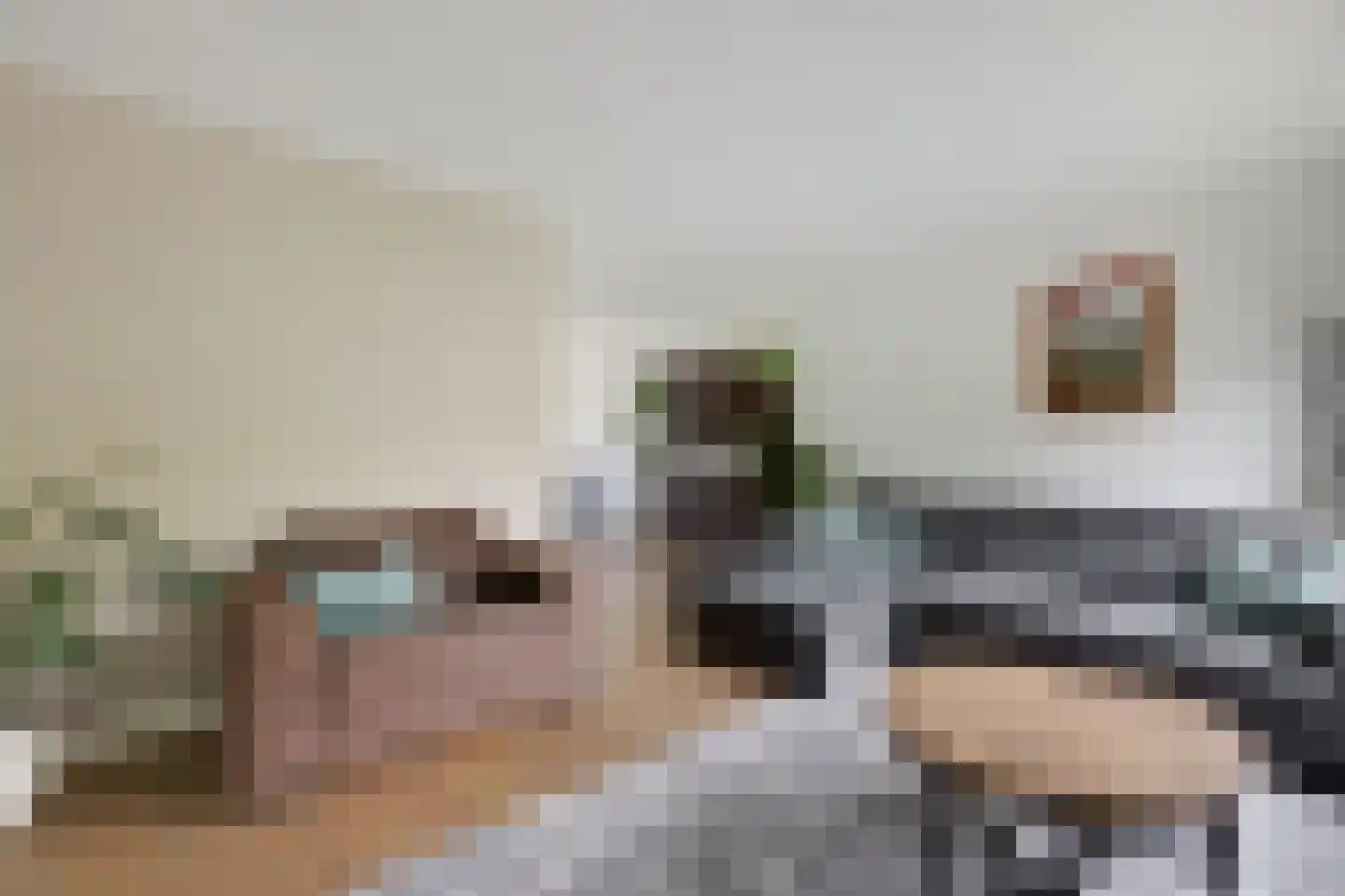 Vioolstraat 8 Duiven thumbnail 15