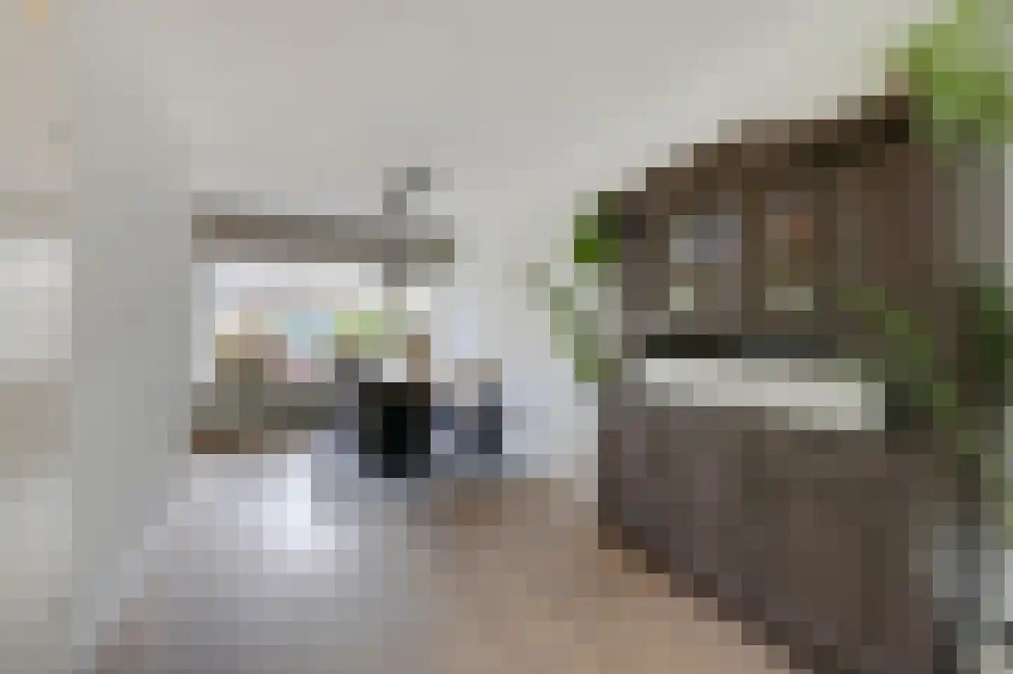Vioolstraat 8 Duiven thumbnail 16