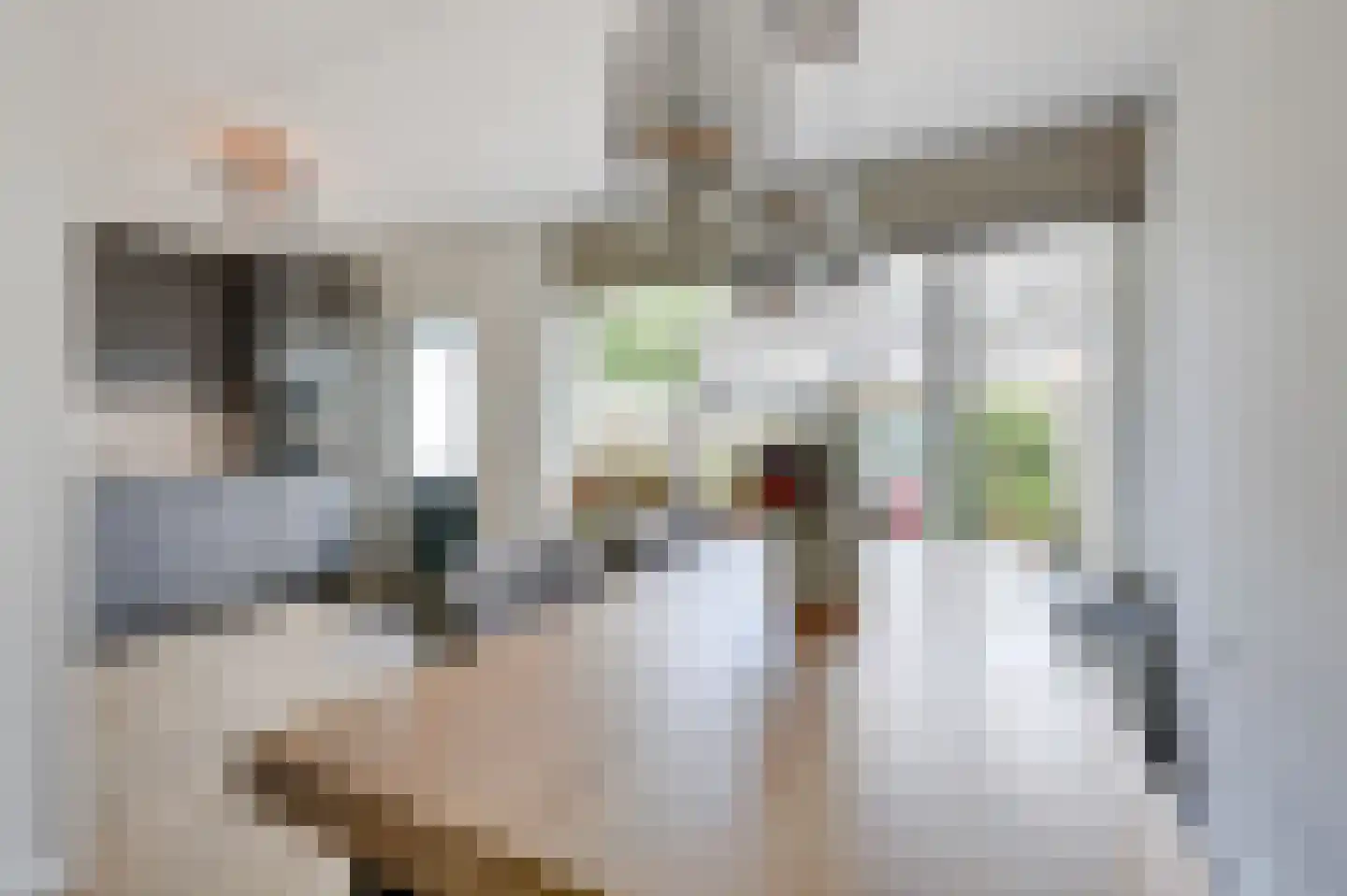 Vioolstraat 8 Duiven thumbnail 18