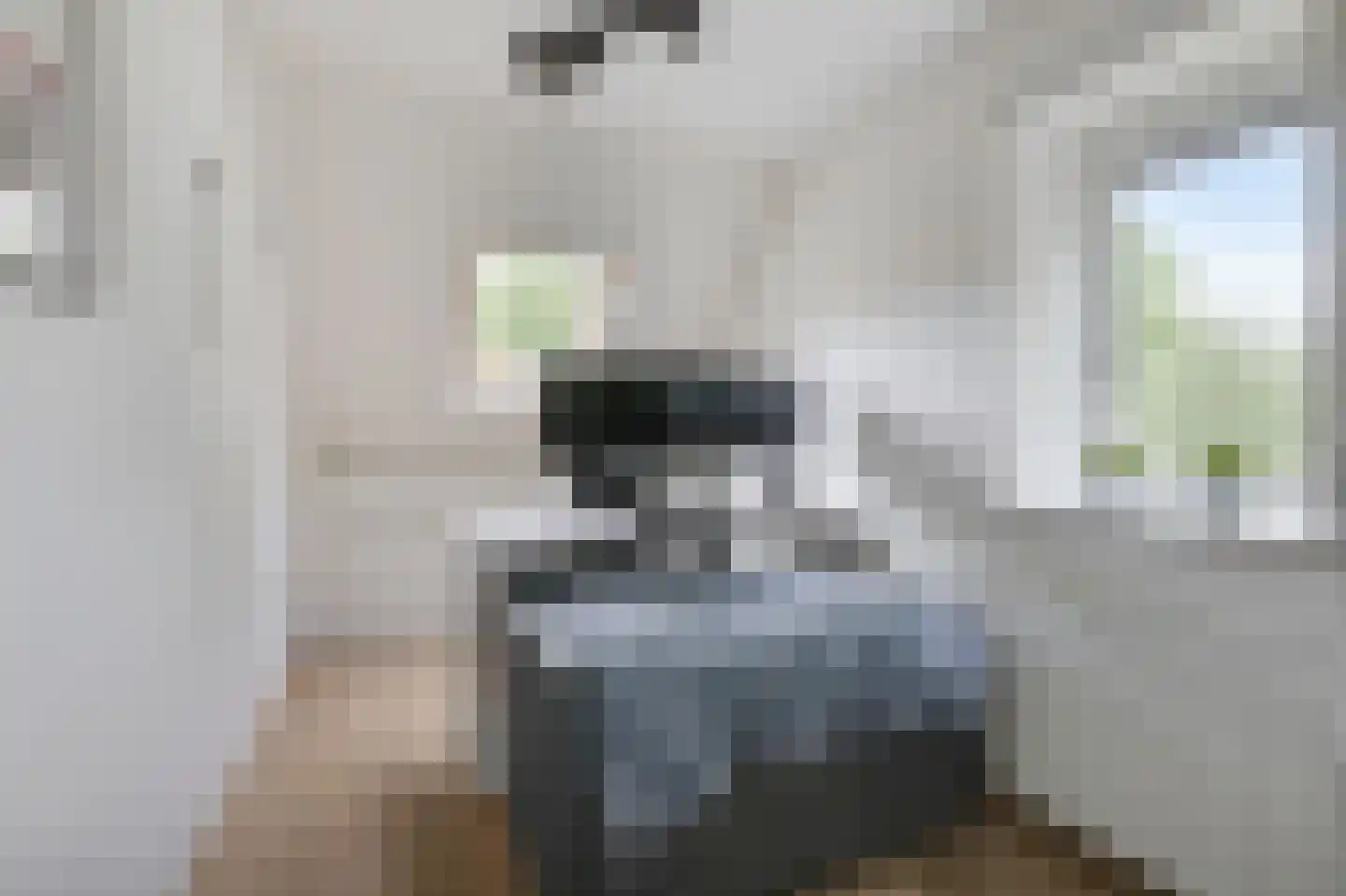 Vioolstraat 8 Duiven thumbnail 31