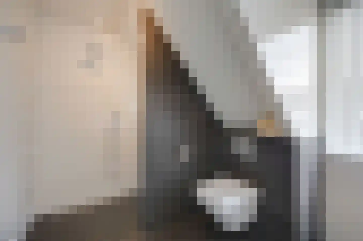Vioolstraat 8 Duiven thumbnail 35