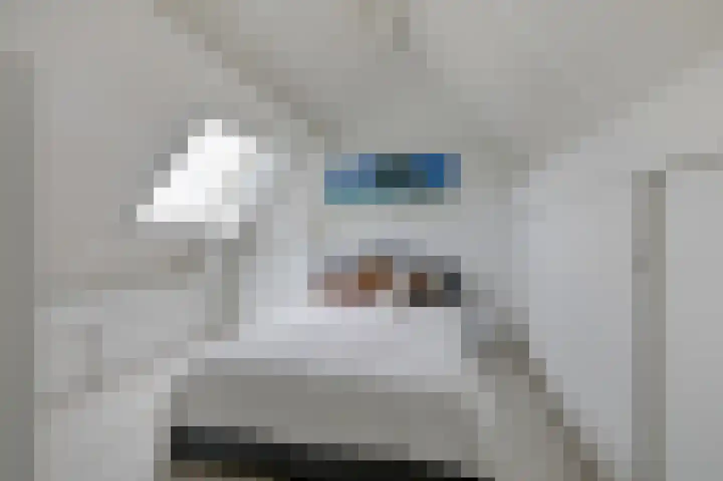 Vioolstraat 8 Duiven thumbnail 42