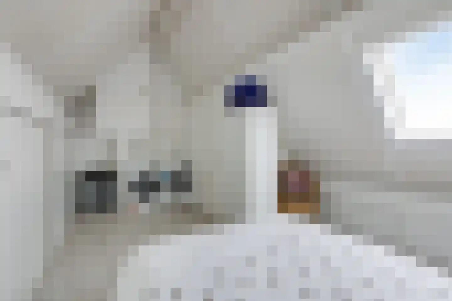 Vioolstraat 8 Duiven thumbnail 43