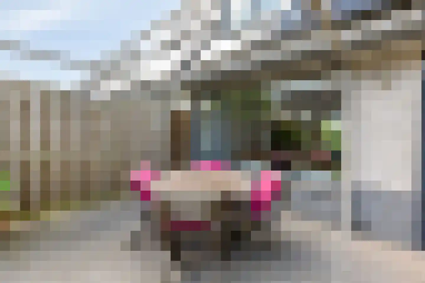 Vioolstraat 8 Duiven thumbnail 47