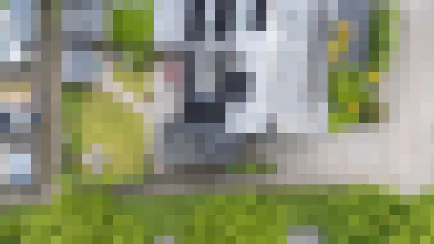 Vioolstraat 8 Duiven thumbnail 51