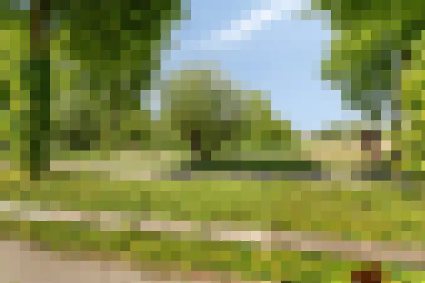 Vioolstraat 8 Duiven thumbnail 54