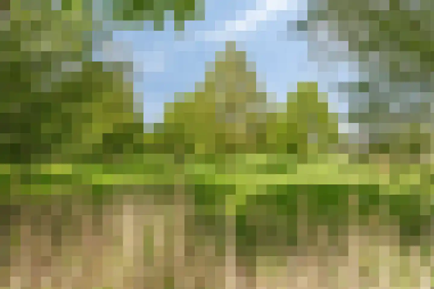 Vioolstraat 8 Duiven thumbnail 55