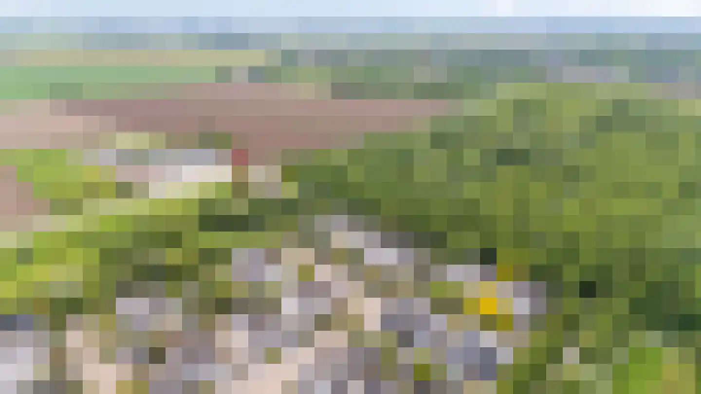 Vioolstraat 8 Duiven thumbnail 56