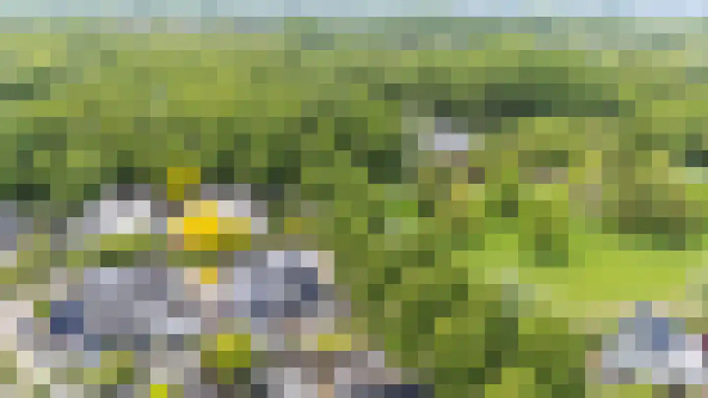 Vioolstraat 8 Duiven thumbnail 57