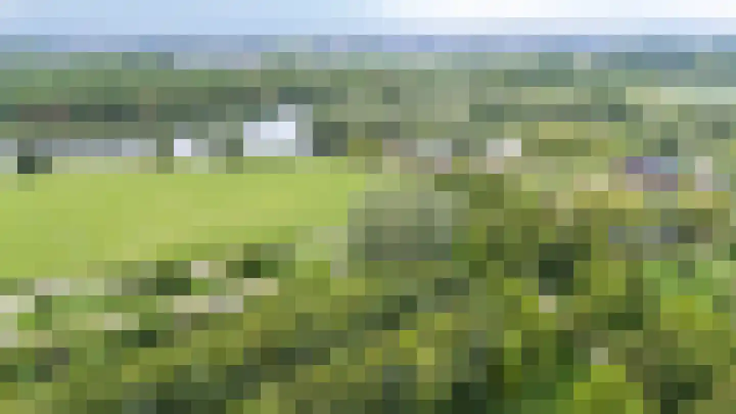 Vioolstraat 8 Duiven thumbnail 58