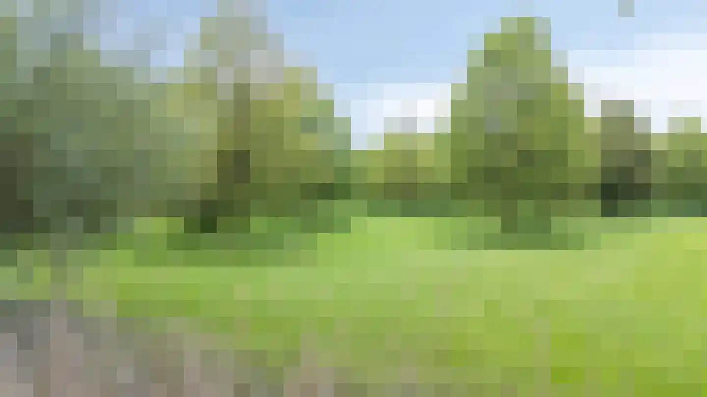 Vioolstraat 8 Duiven thumbnail 60