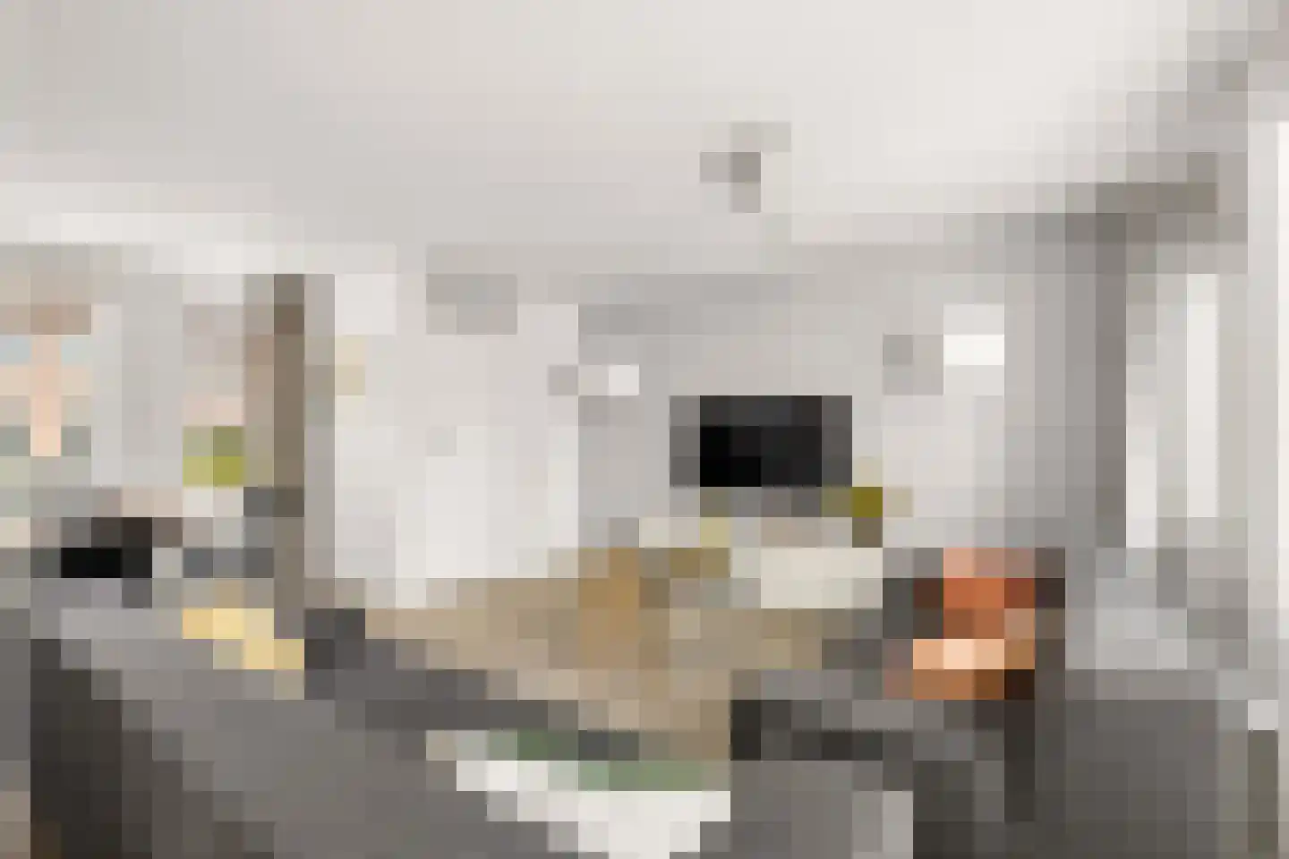 Vioolstraat 9 Uden thumbnail 10