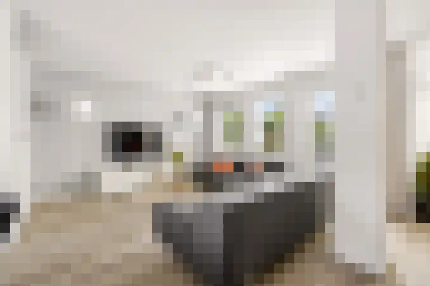 Vioolstraat 9 Uden thumbnail 11