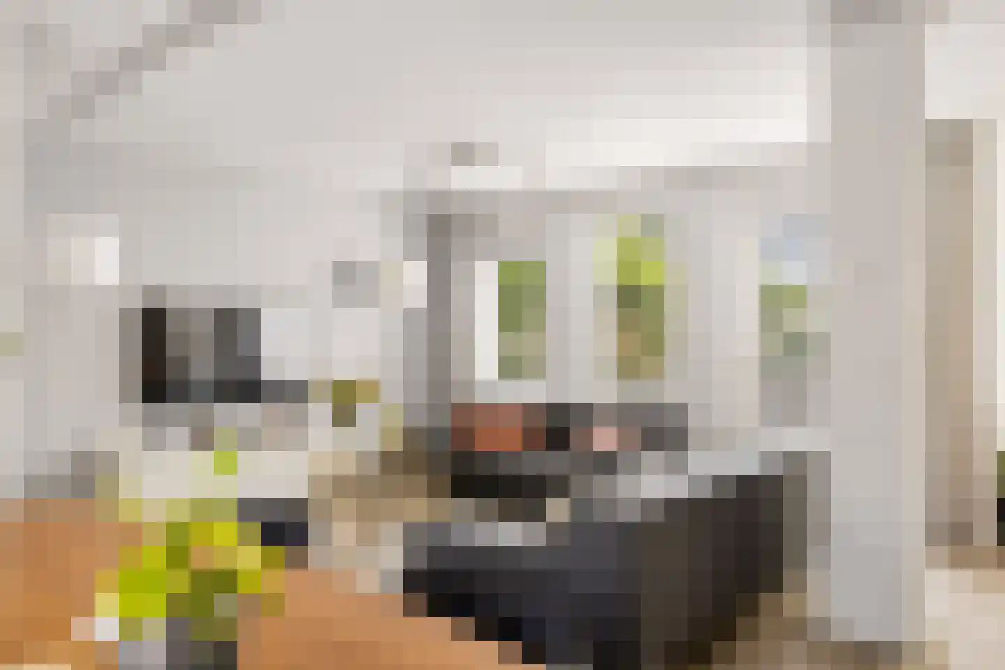 Vioolstraat 9 Uden thumbnail 14