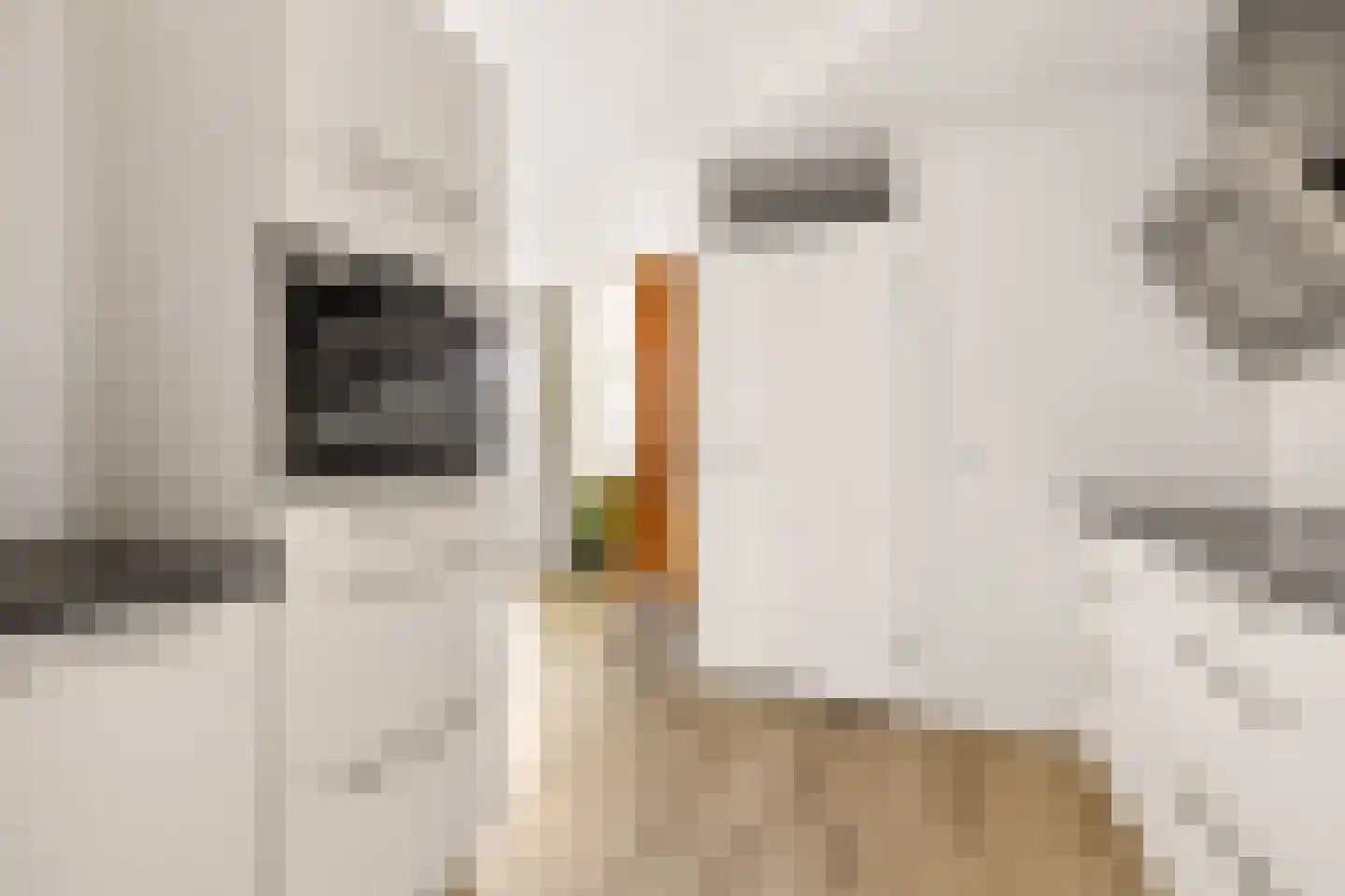 Vioolstraat 9 Uden thumbnail 17