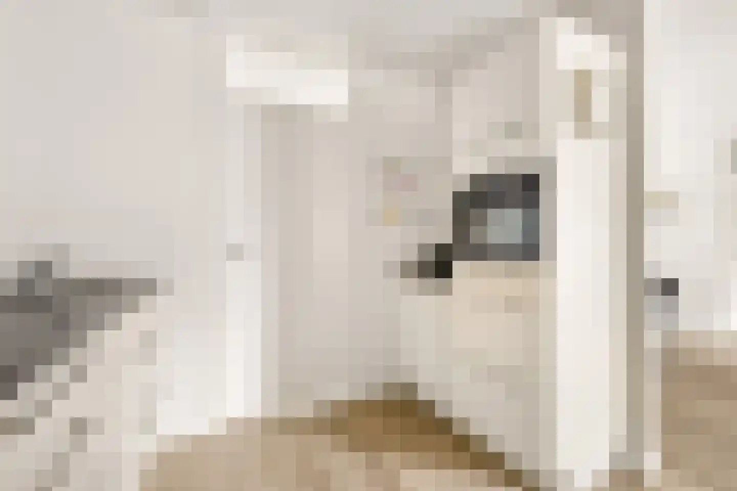 Vioolstraat 9 Uden thumbnail 18