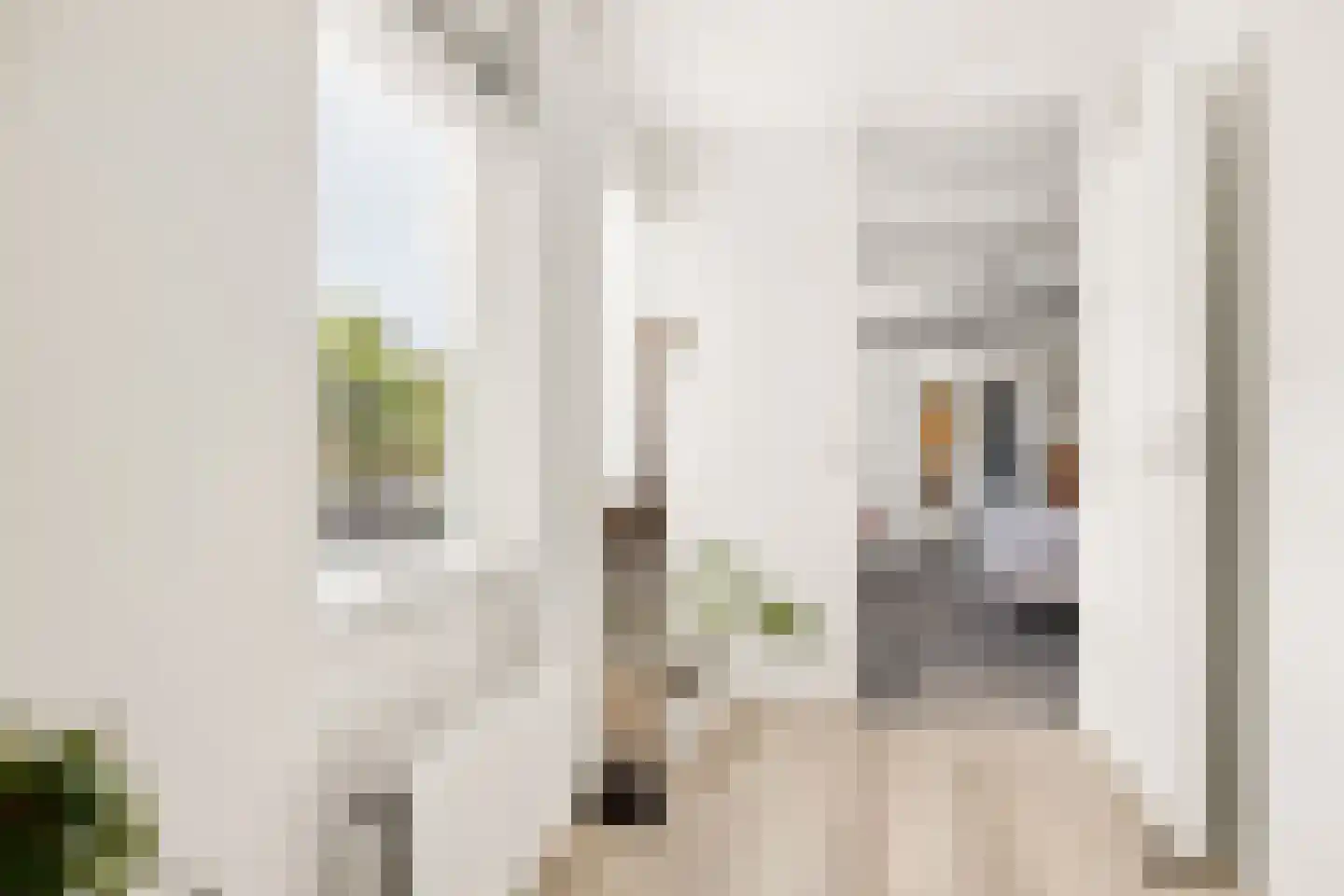 Vioolstraat 9 Uden thumbnail 20