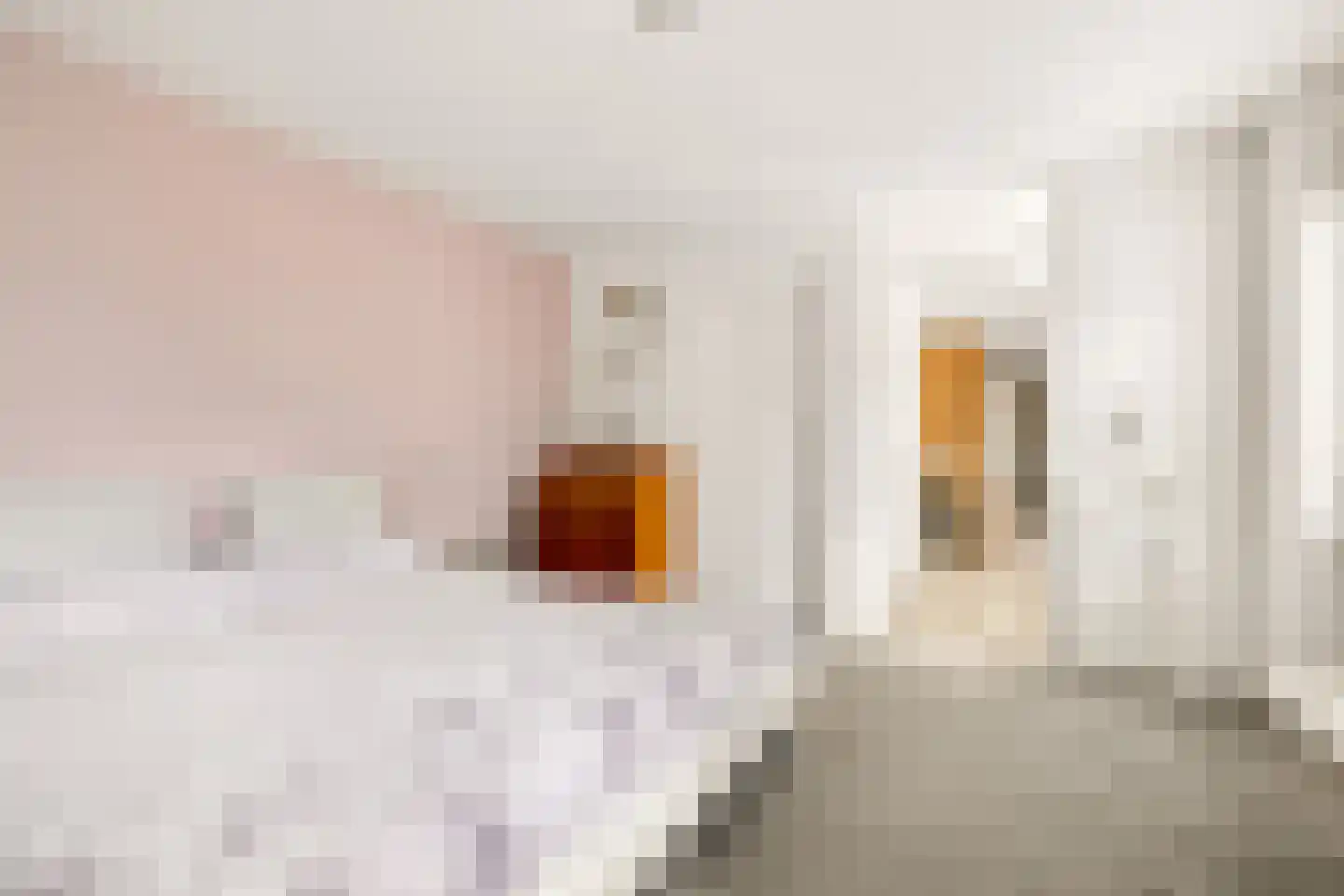 Vioolstraat 9 Uden thumbnail 24