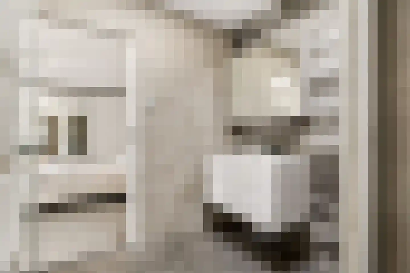 Vioolstraat 9 Uden thumbnail 27