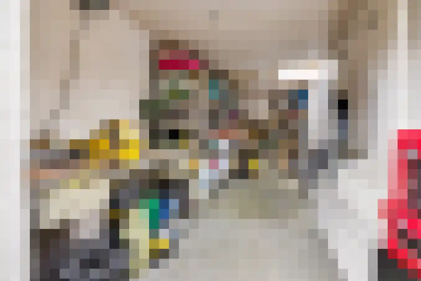 Vioolstraat 9 Uden thumbnail 30