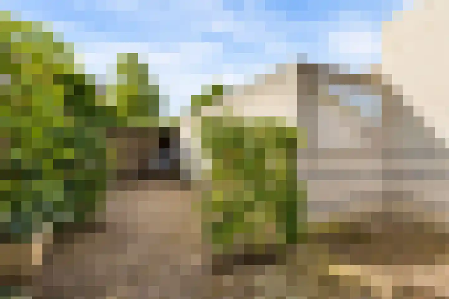 Vioolstraat 9 Uden thumbnail 35