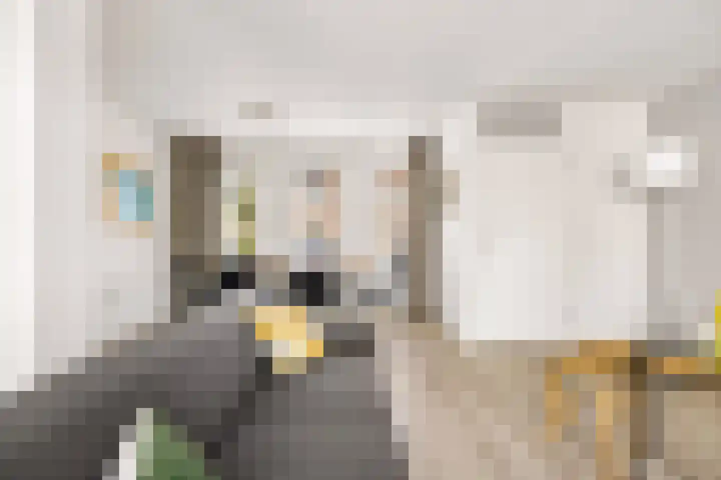 Vioolstraat 9 Uden thumbnail 8