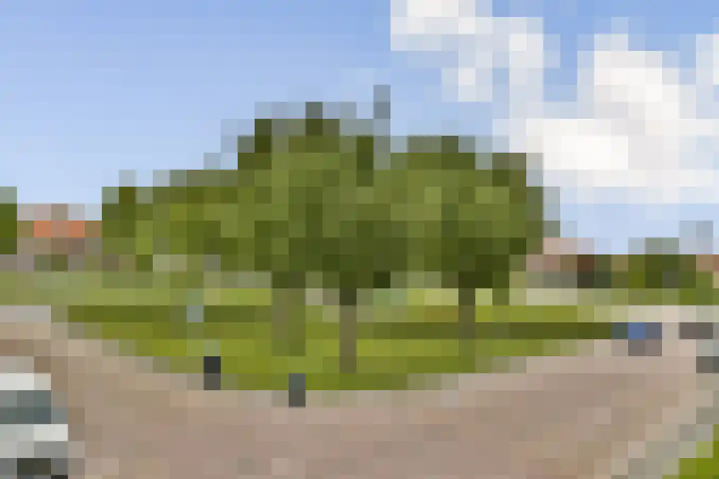 Viottakade 111 Dordrecht thumbnail 12