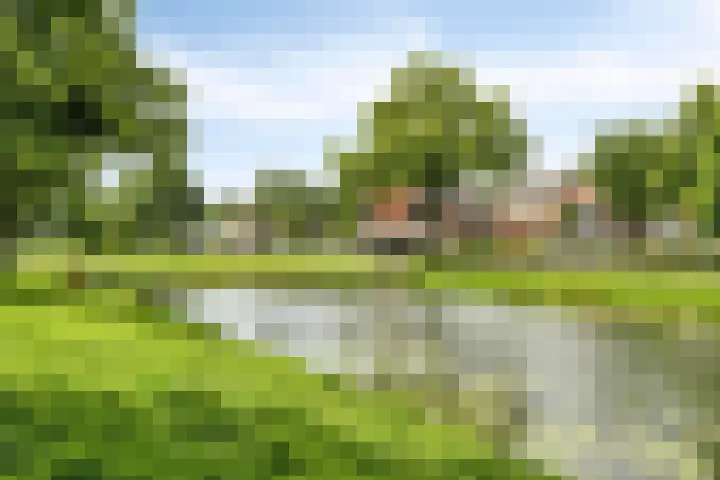 Viottakade 136 Dordrecht thumbnail 45