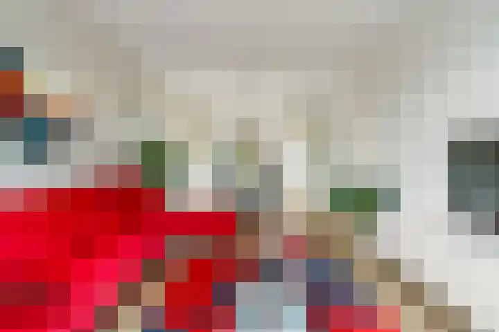 Viottakade 19 Dordrecht thumbnail 11