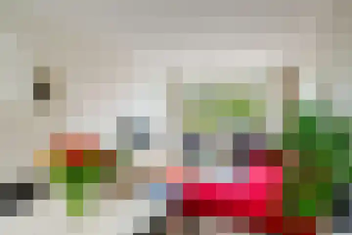Viottakade 19 Dordrecht thumbnail 15