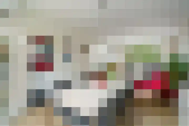 Viottakade 19 Dordrecht thumbnail 16
