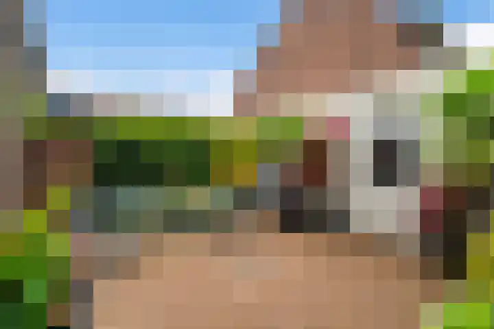 Viottakade 19 Dordrecht thumbnail 27