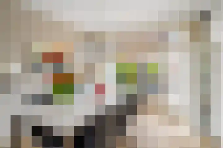 Viottakade 19 Dordrecht thumbnail 4