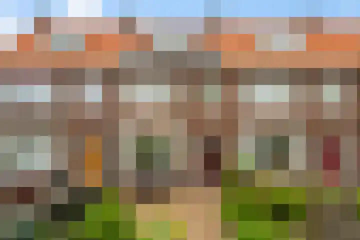 Viottakade 19 Dordrecht thumbnail 5
