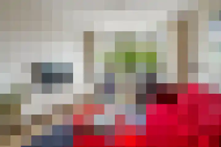 Viottakade 19 Dordrecht thumbnail 9