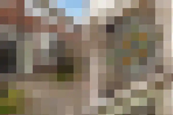 Viottakade 37 Dordrecht thumbnail 6