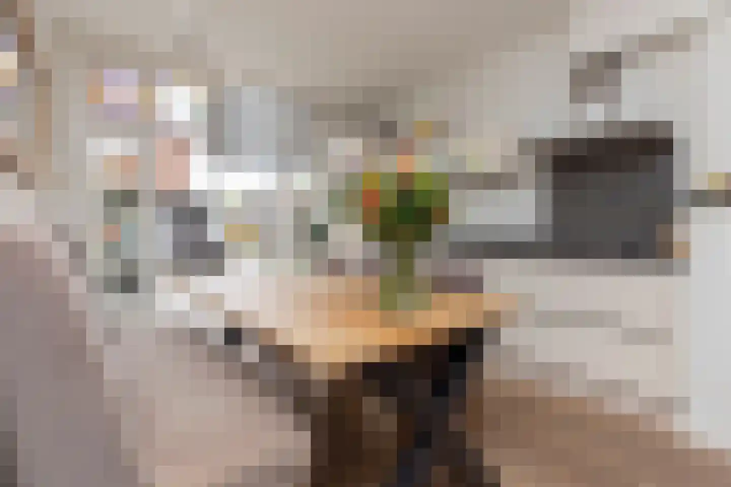 Viottakade 70 Dordrecht thumbnail 8