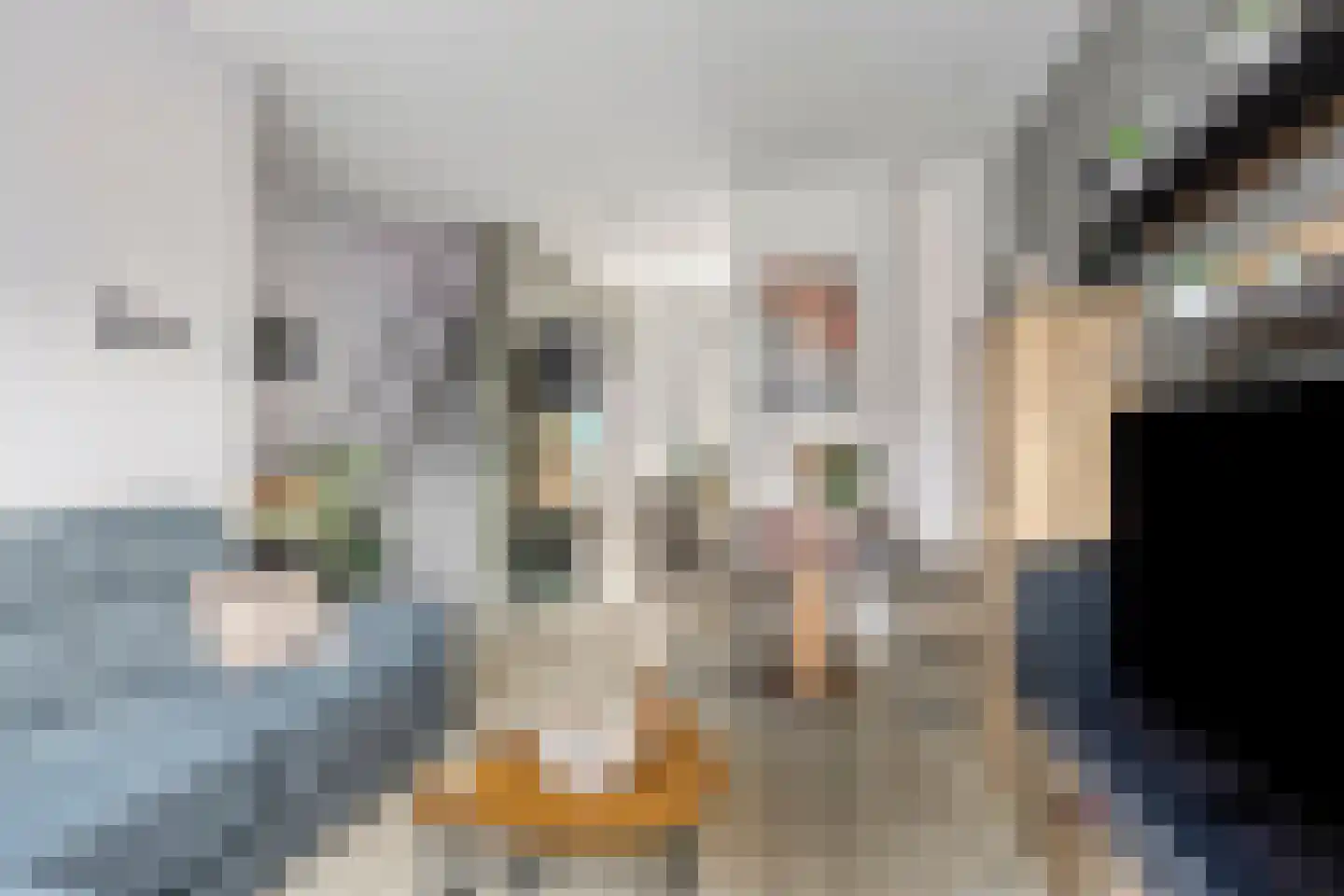 Viottakade 94 Dordrecht thumbnail 4