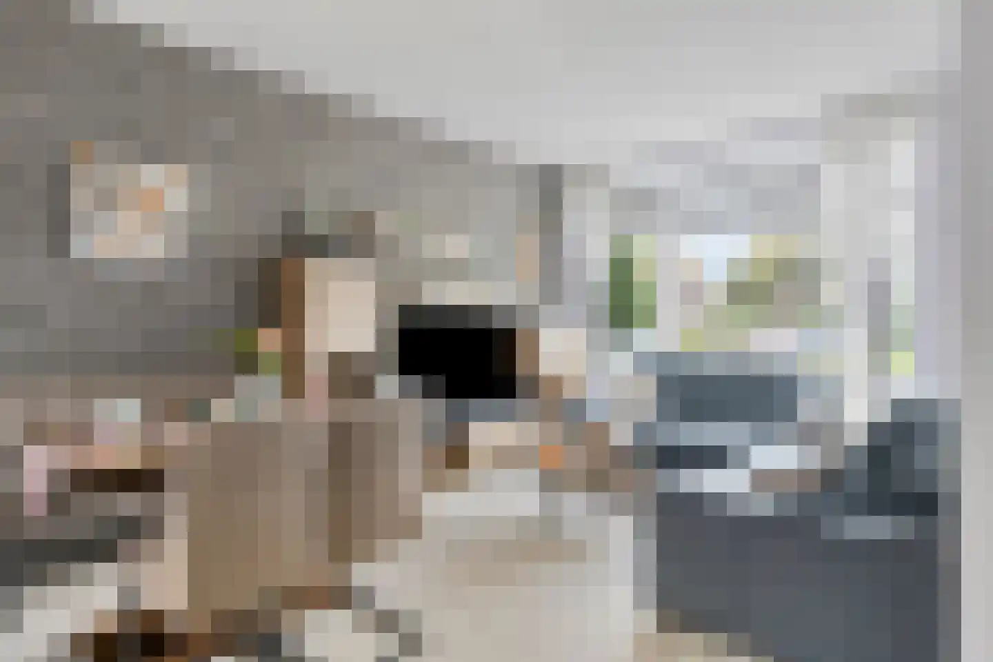 Viottakade 94 Dordrecht thumbnail 8