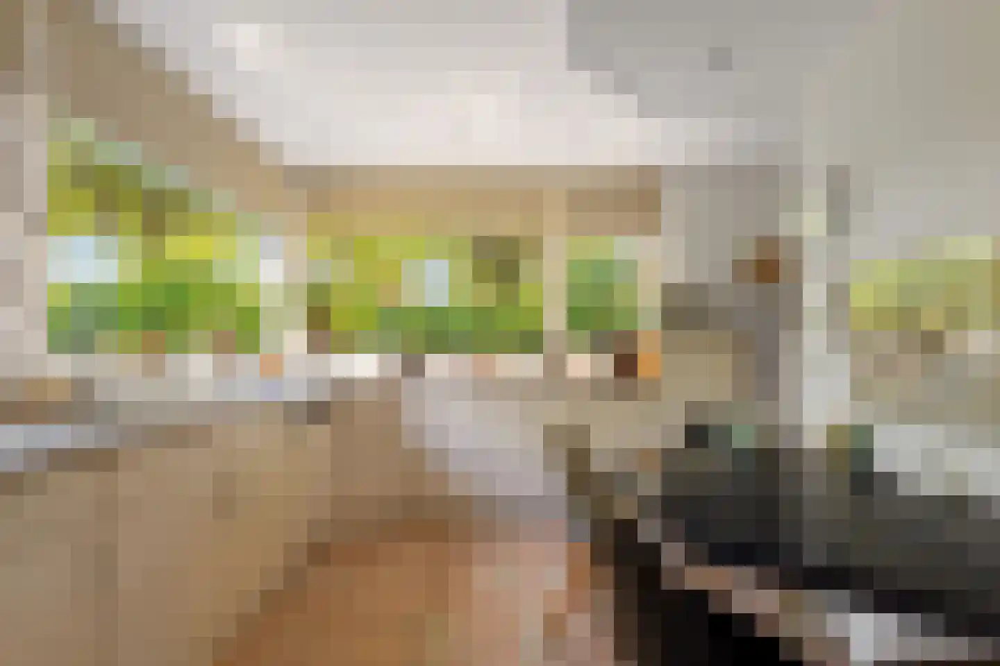 Viottalaan 2 Baarn thumbnail 16