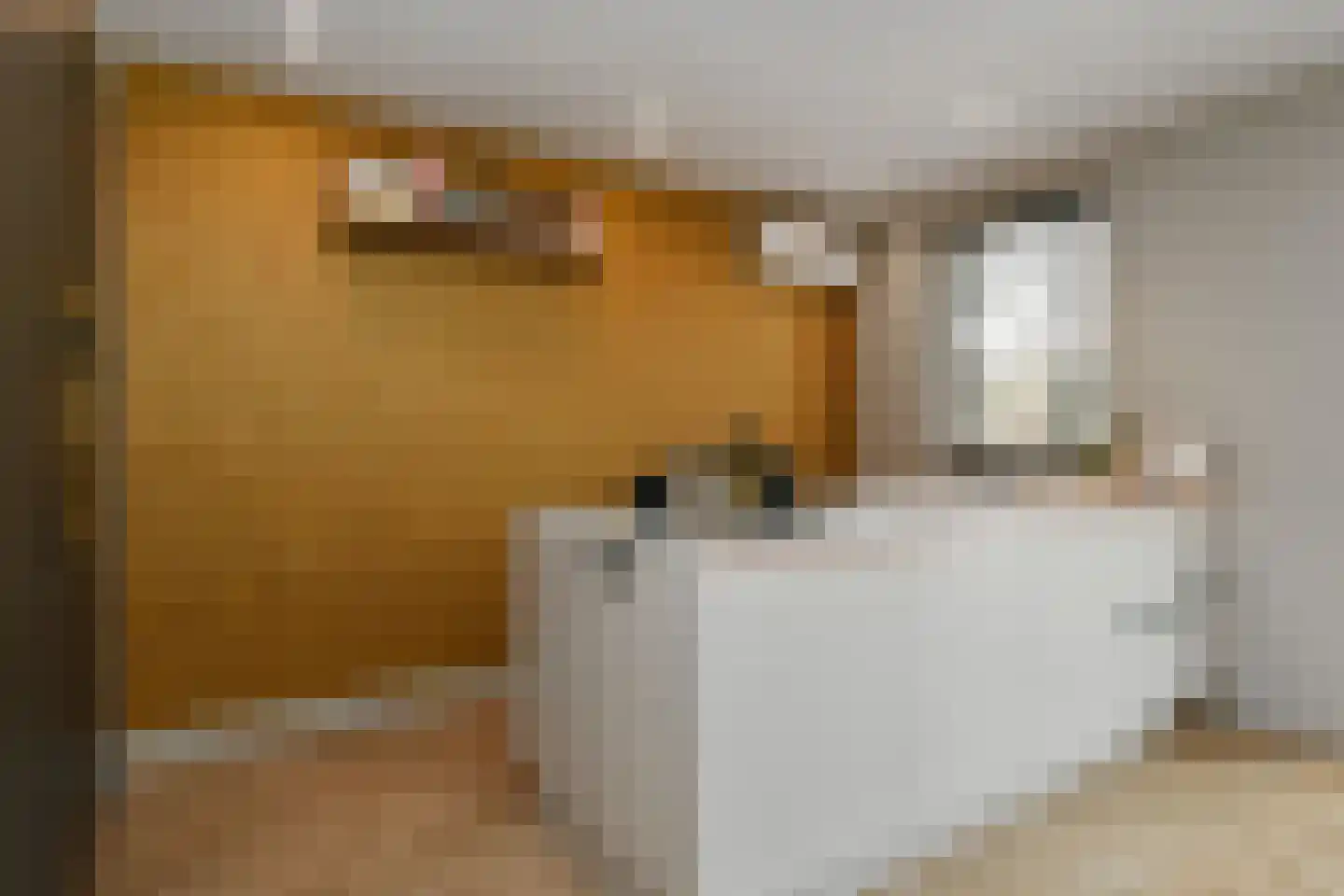 Viottastraat 17 Eindhoven thumbnail 12