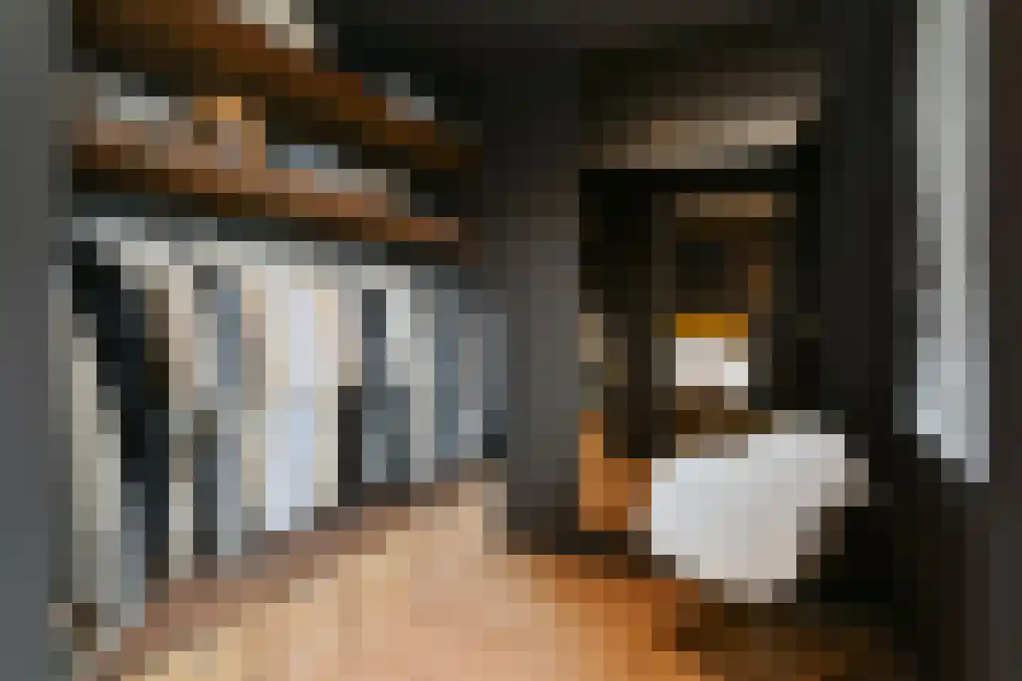 Viottastraat 17 Eindhoven thumbnail 17