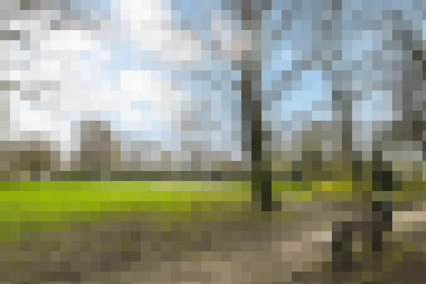 Viottastraat 17 Eindhoven thumbnail 29