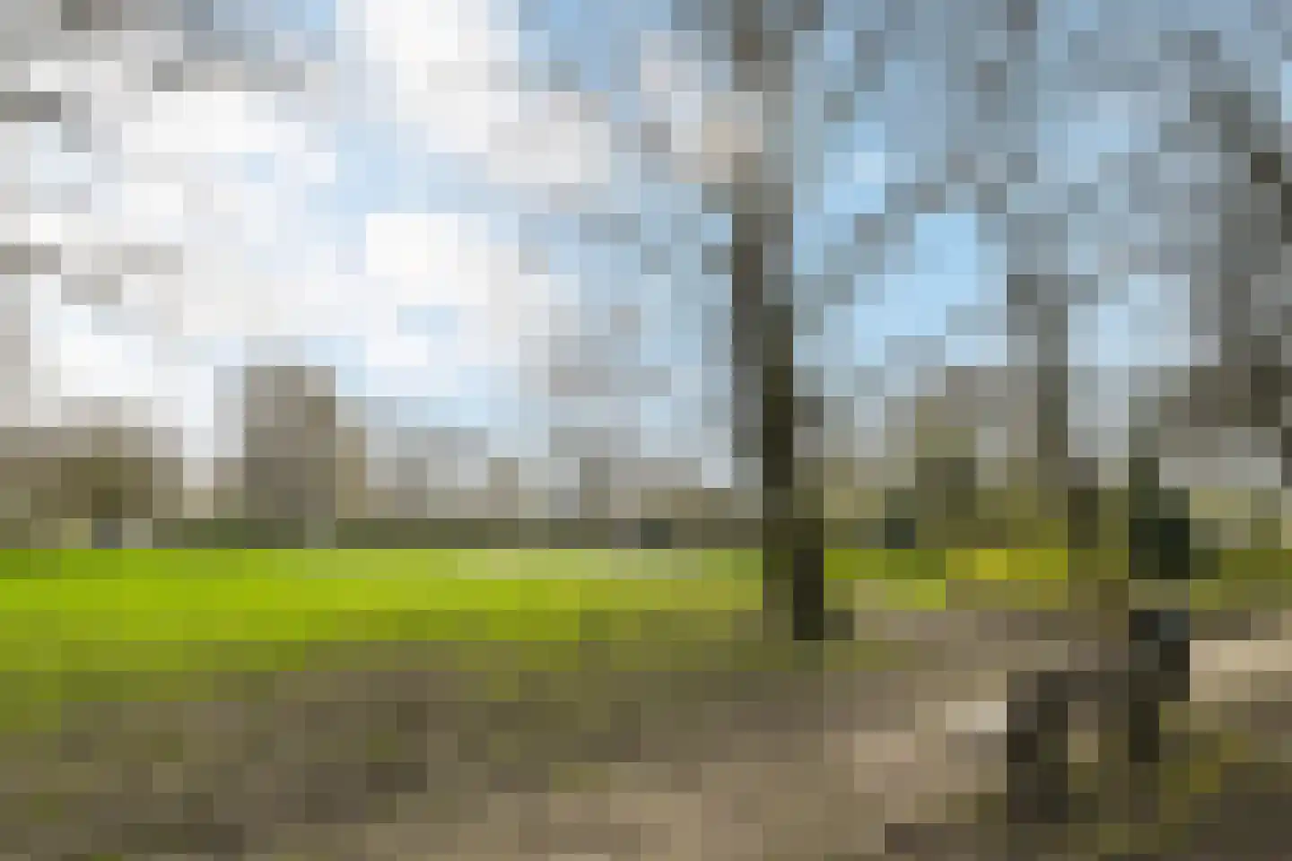 Viottastraat 17 Eindhoven thumbnail 31