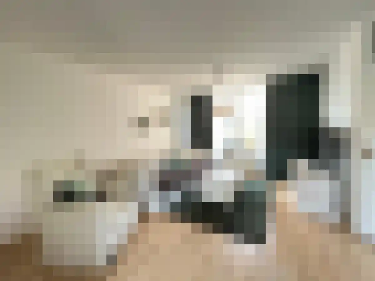 Viottastraat 37 Eindhoven thumbnail 6