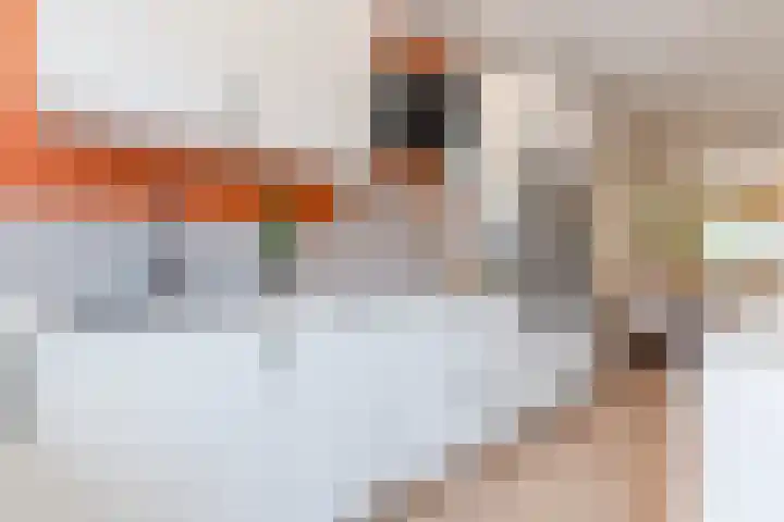 Viottastraat 41 Eindhoven thumbnail 12