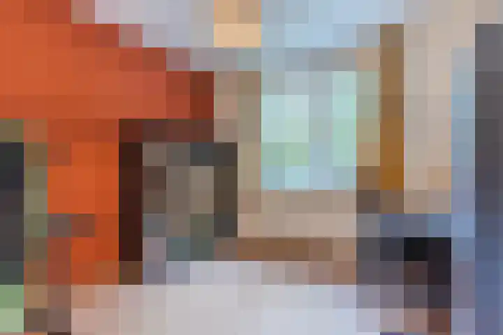 Viottastraat 41 Eindhoven thumbnail 22